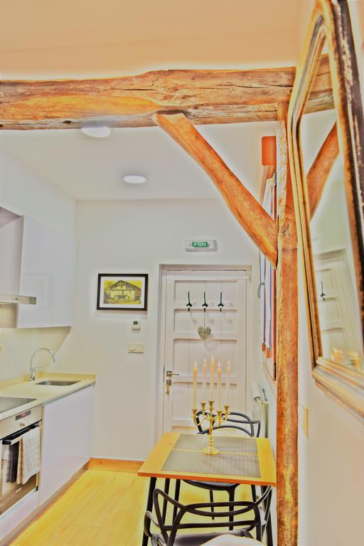 Anikuenea Apartamento Goienta Zalain Luaran gambar